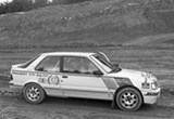 Peugeot Rally-17 copy